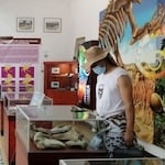 Museo Paleontológico en Villavieja